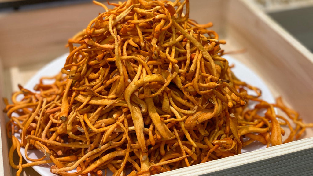 5 Interesting Facts About Cordyceps Mushrooms