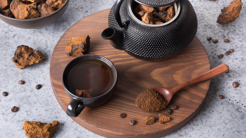 What is Chaga Mushroom?