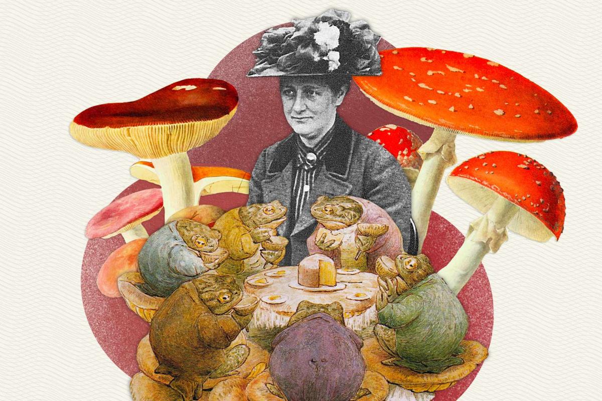 Three fascinating women from the world of mushrooms.