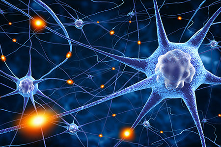 Neurogenesis, psilocybin, and the power to change your mind.