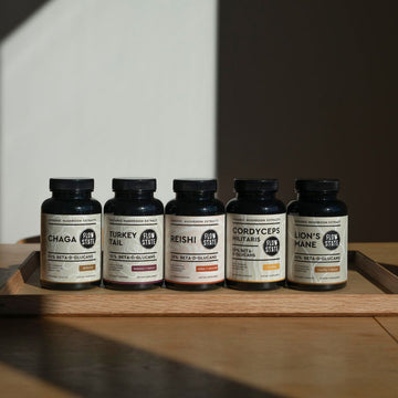 AM / PM CAPSULE BUNDLE