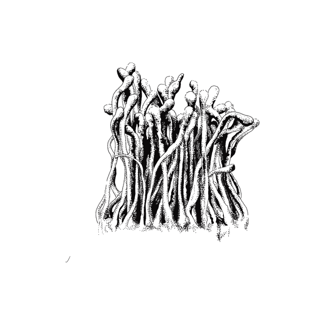 Flow State