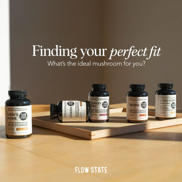 Flow State
