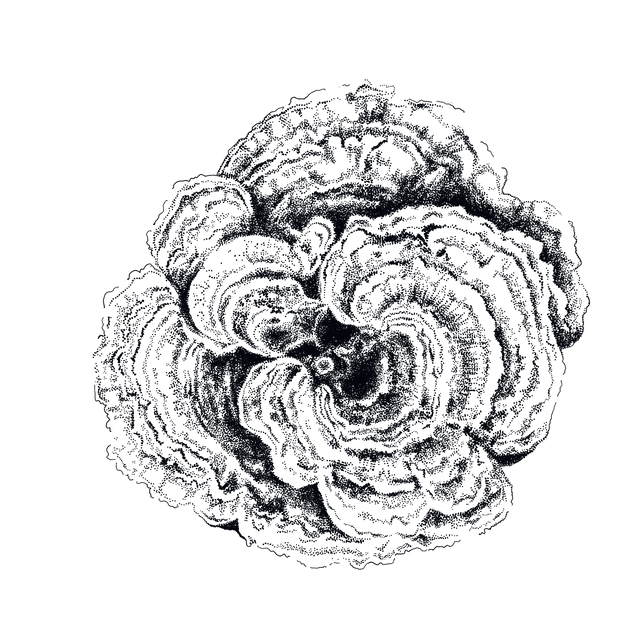 Flow State