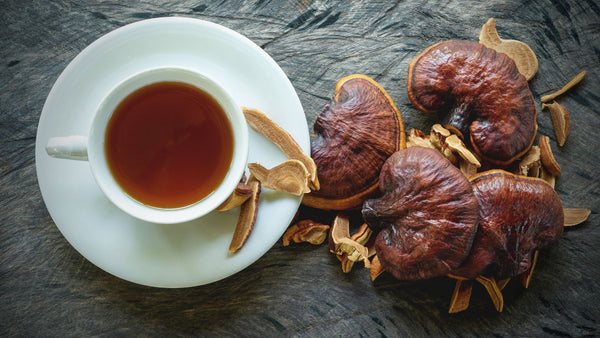Reishi for Sleep: What to Expect and How to Take It