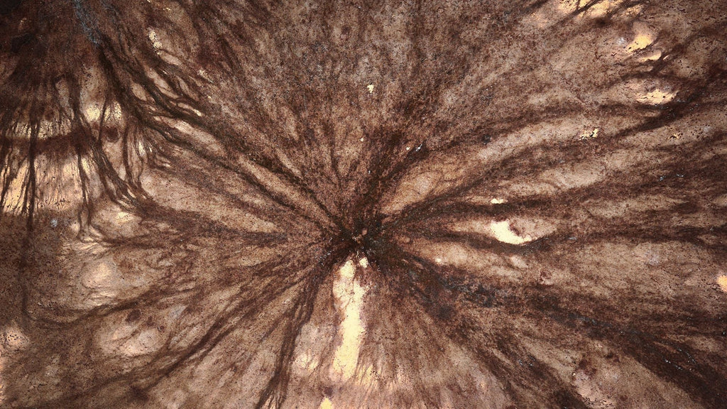 Fruiting Body, Mycelium-on-Grain, and Liquid Fermentation: What's Actually in Your Mushroom Supplement