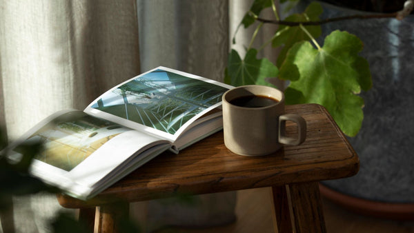 Mushroom Coffee NZ: What It Is and How to Choose One