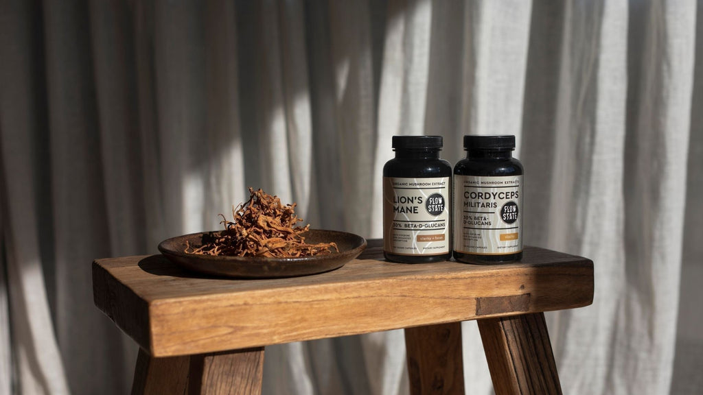 Best Mushroom Stacks for Energy, Focus and Recovery