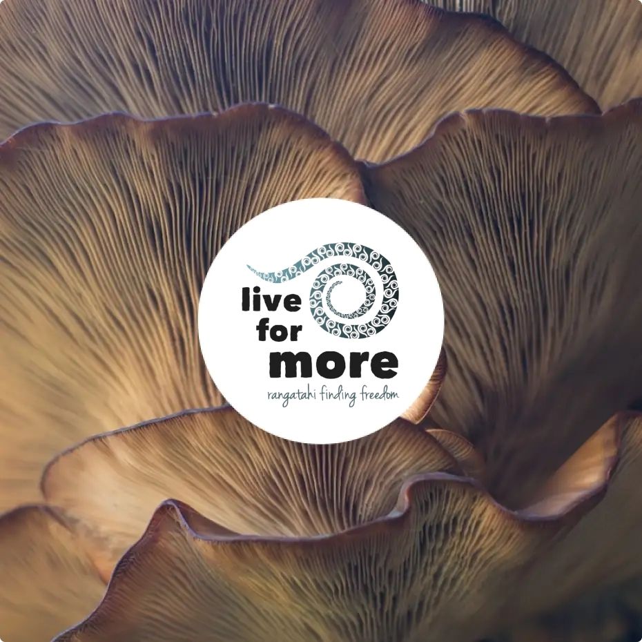 Live for More