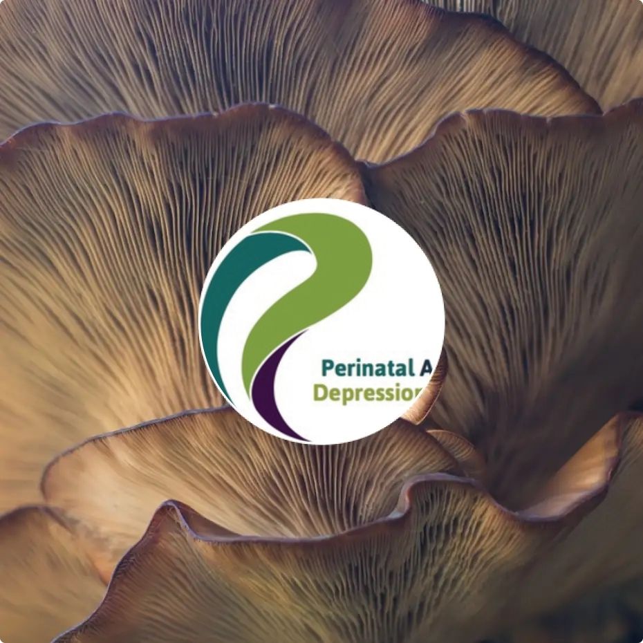 Perinatal Anxiety & Depression Aotearoa