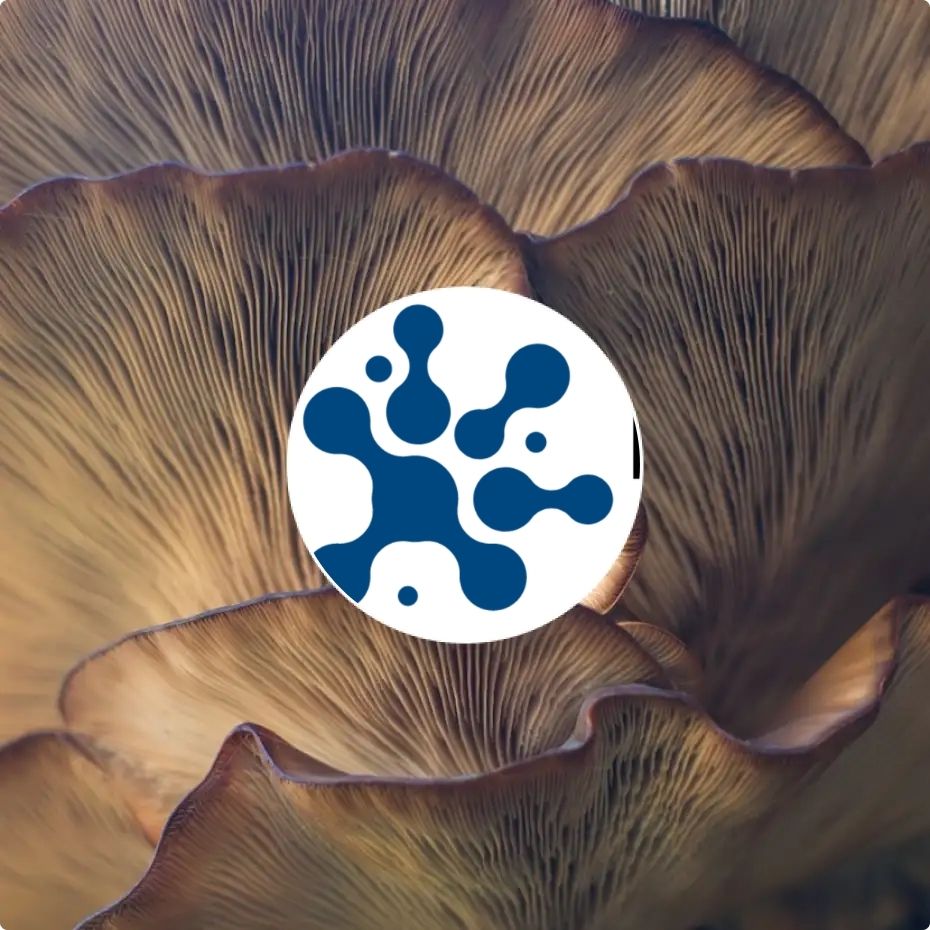 DysImmune Research Aotearoa