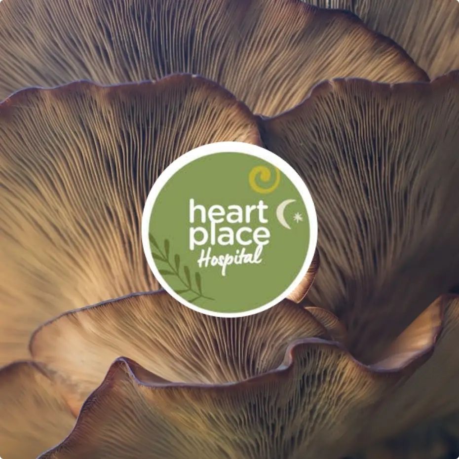 Heart Place Hospital