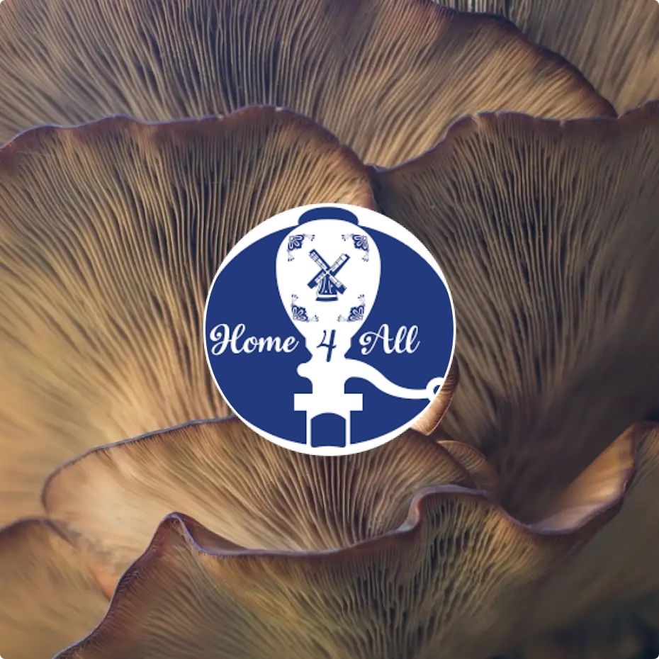 Home4All