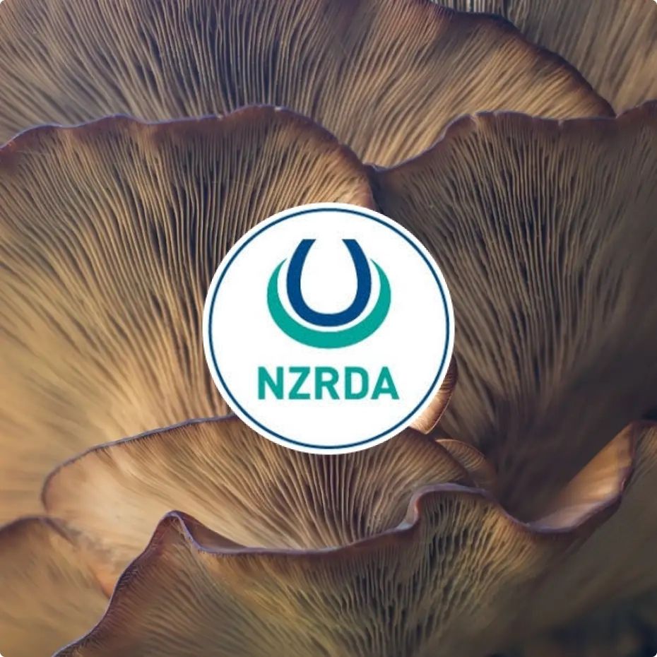 NZ Riding For The Disabled