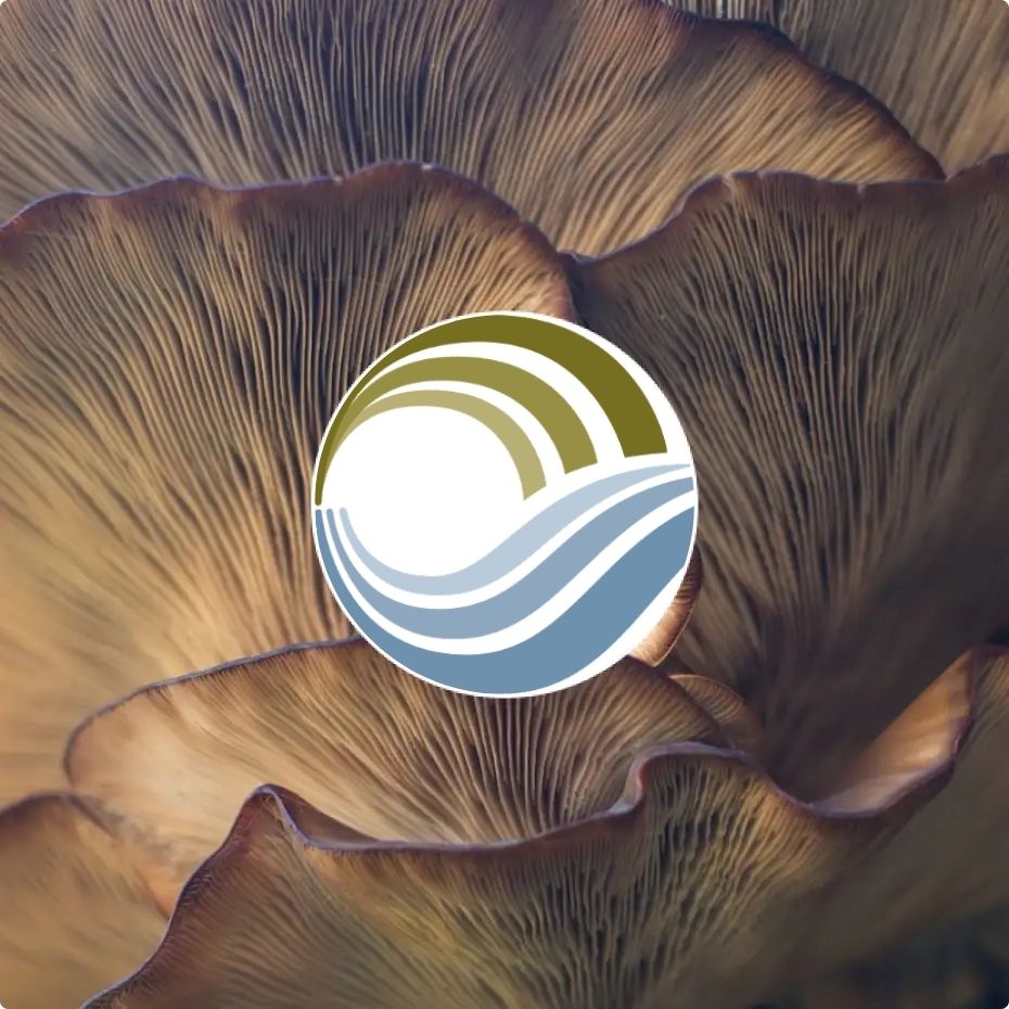Whenua Iti Outdoors