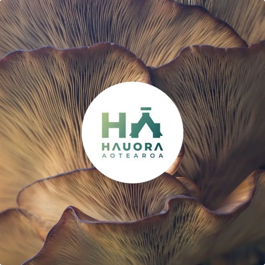 Hauora Aotearoa
