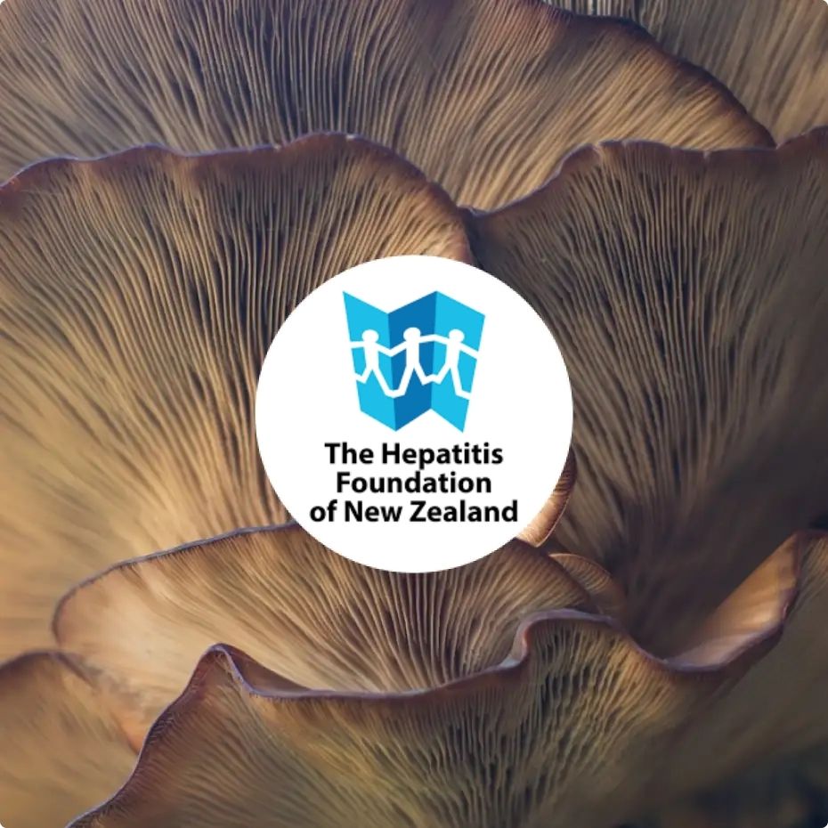 Hepatitus Foundation