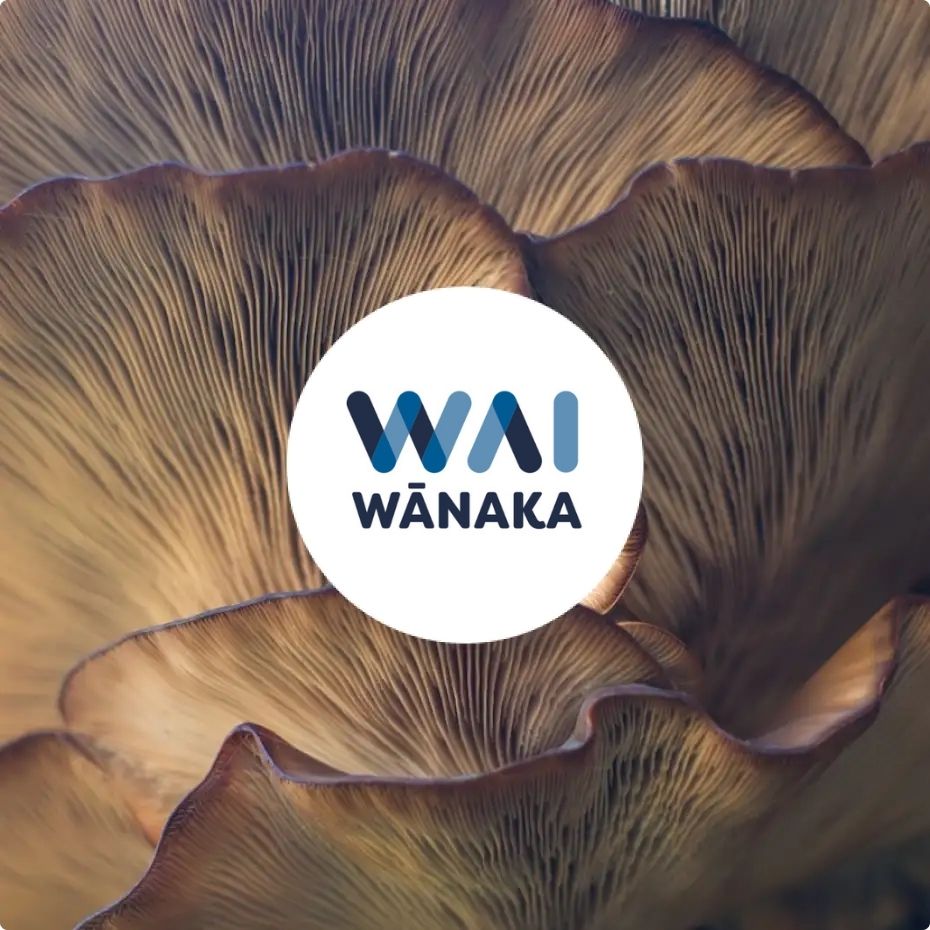 Wai Wanaka