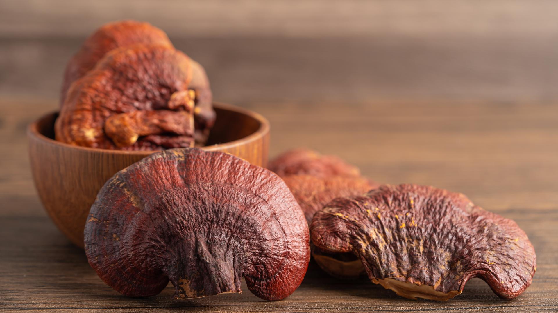 How to Use Reishi Mushroom Powder