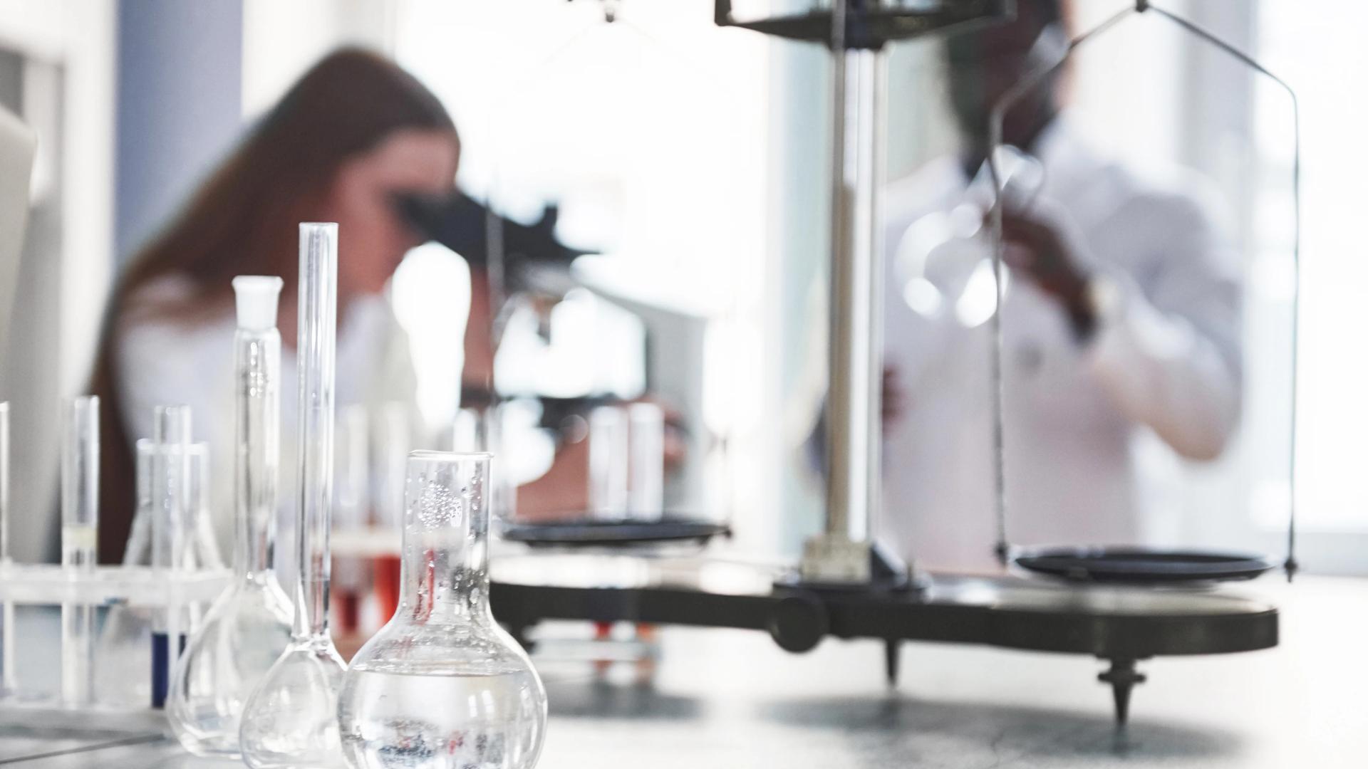 New Zealand Mushroom Testing Requirements