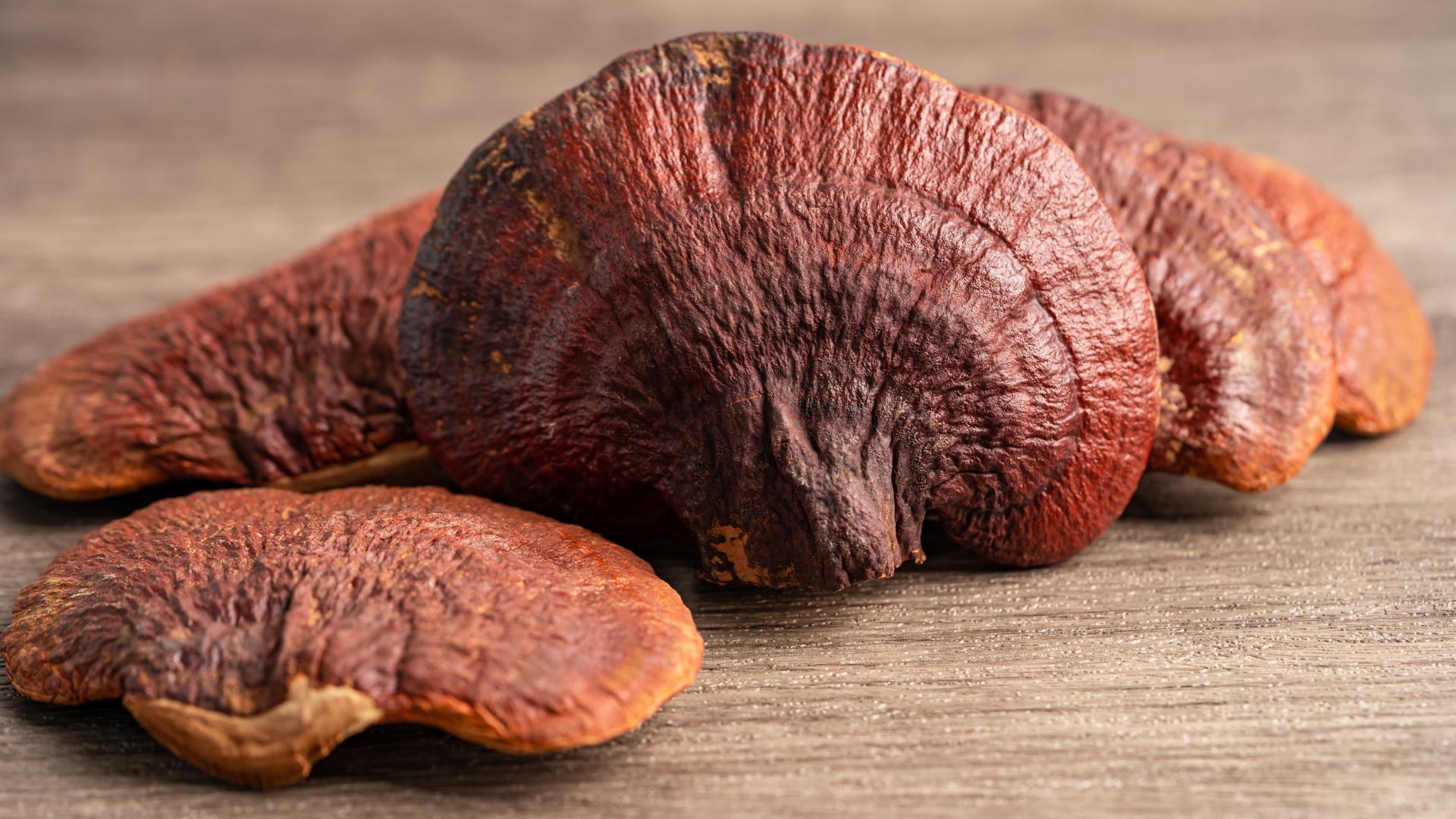 Understanding Beta-Glucans