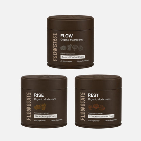 ALL-DAY BLEND BUNDLE