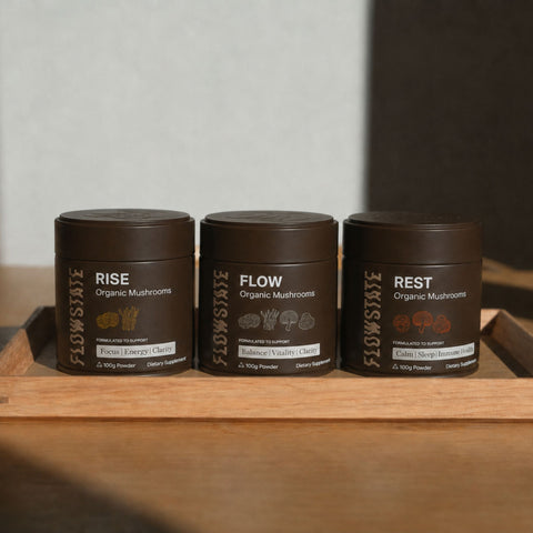 ALL-DAY BLEND BUNDLE