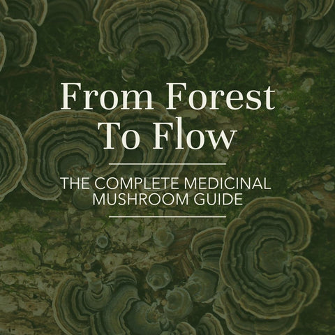 The Complete Medicinal Mushroom Guide (e-book)