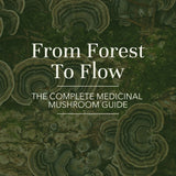 The Complete Medicinal Mushroom Guide (e-book)