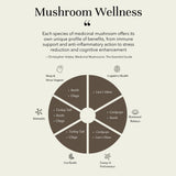 The Complete Medicinal Mushroom Guide (e-book)